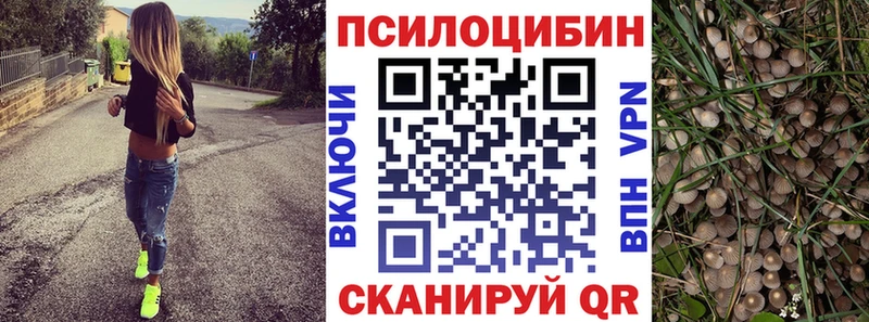 Галлюциногенные грибы Psilocybe  hydra tor  Жирновск 